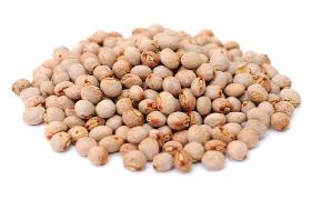Pigeon Pea