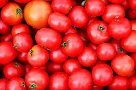 Tomato